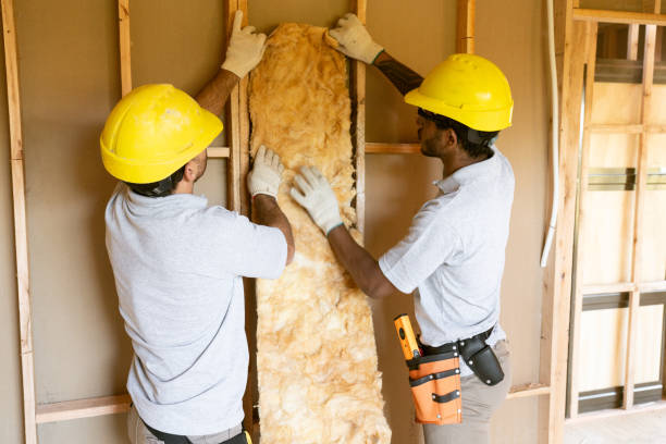 Best Attic Insulation Installation  in Wharton, TX